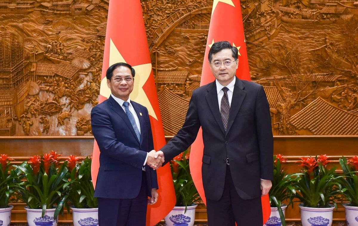 Vietnamese, Chinese FMs hold frank discussion on issues at sea